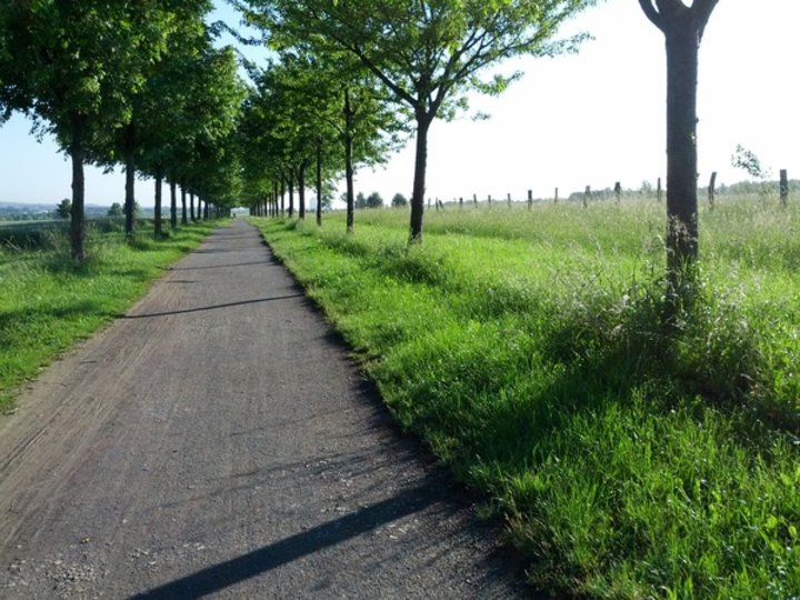 Mit dem Fahrrad zur Arbeit