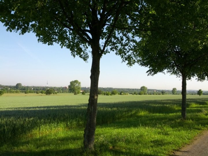 Mit dem Fahrrad zur Arbeit