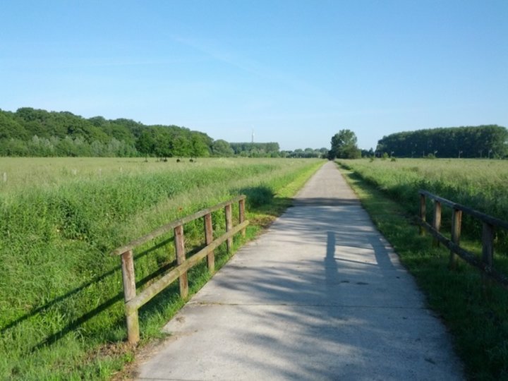 Mit dem Fahrrad zur Arbeit