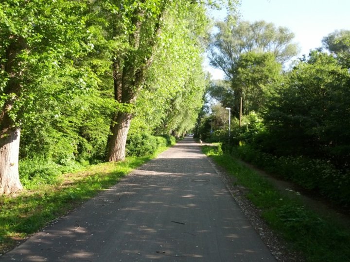 Mit dem Fahrrad zur Arbeit