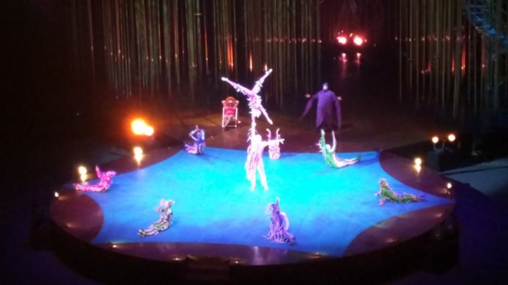 Cirque du Soleil: Varekai