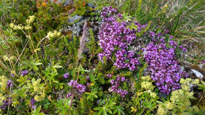 Ólafsvík und Umgebung