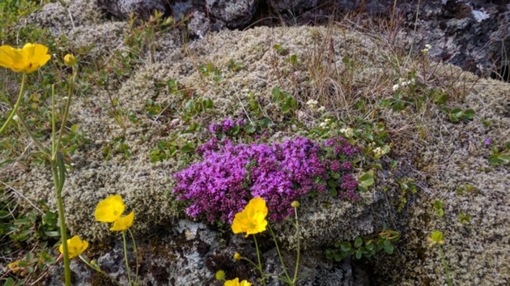 Ólafsvík und Umgebung