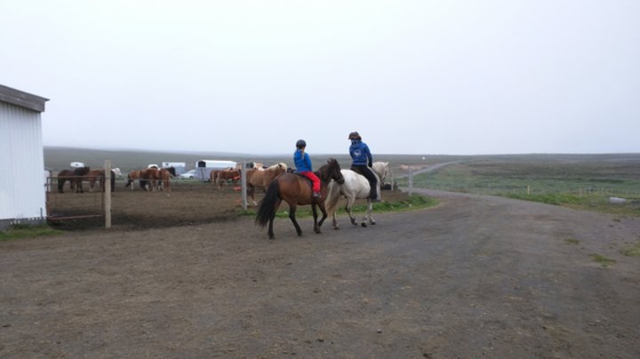 Húsavík, Mývatn und Krafla