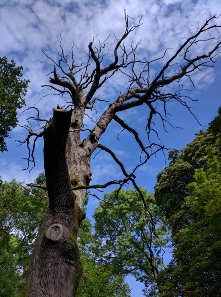 Hannover Tiergarten