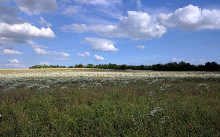 Blauer Himmel über den Feldern