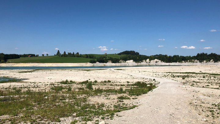 Forggensee