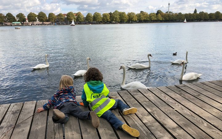 Maschsee mit dem Nabu aufgeräumt