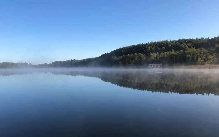 Morgennebel