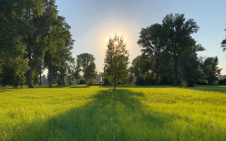 Zur richtigen Zeit am richtigen Ort