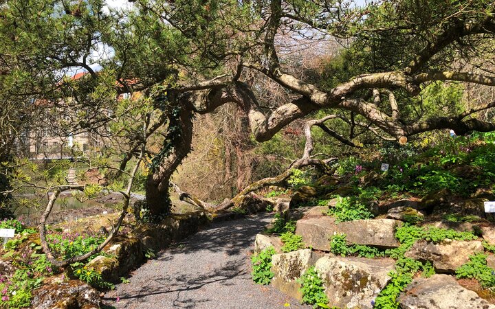 Botanischer Garten